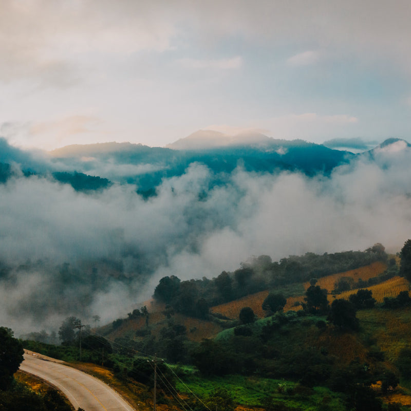 Casitas mountain landscape with misty hills and winding road