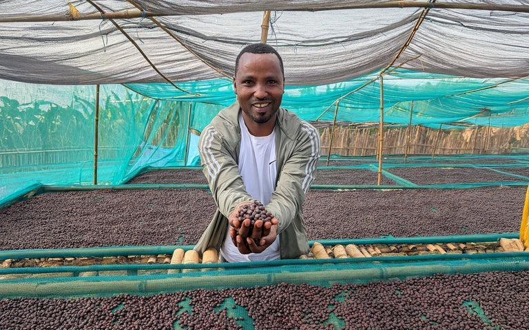 Meet Basha Bekele