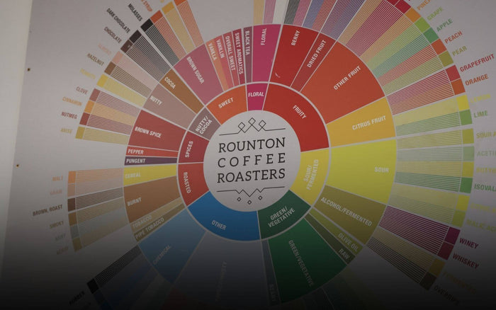 What Are Coffee Tasting Notes?