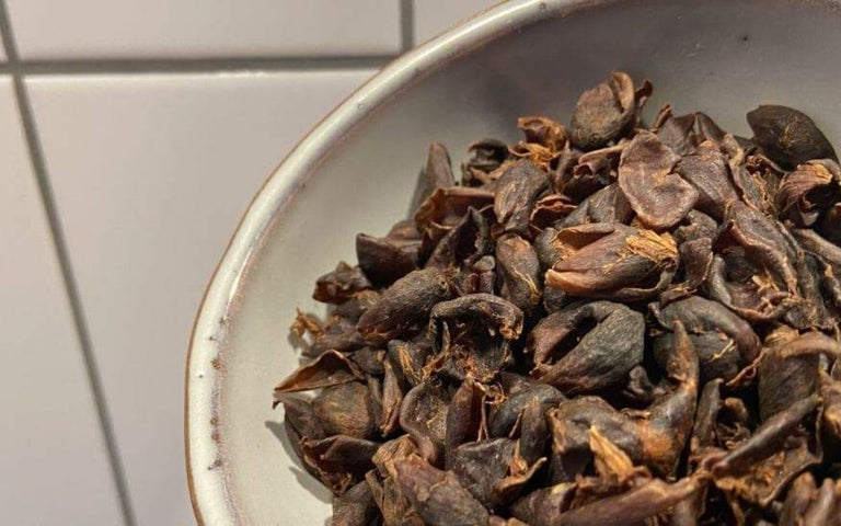 What is Cascara exactly?