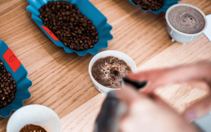 What is the Maillard reaction (and why is it important to a coffee roaster)?