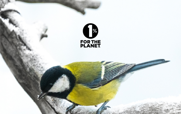 1% for the Planet | Our Dedication to Environmental Care