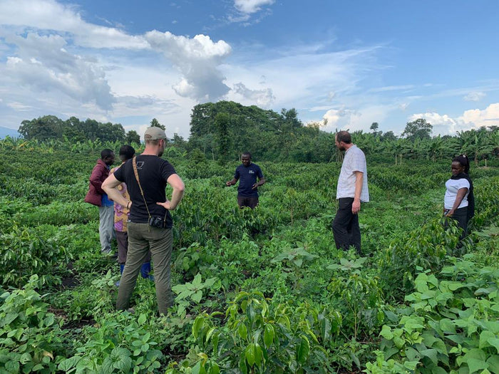 Visiting Coffee Producers in the Rwenzori Mountains