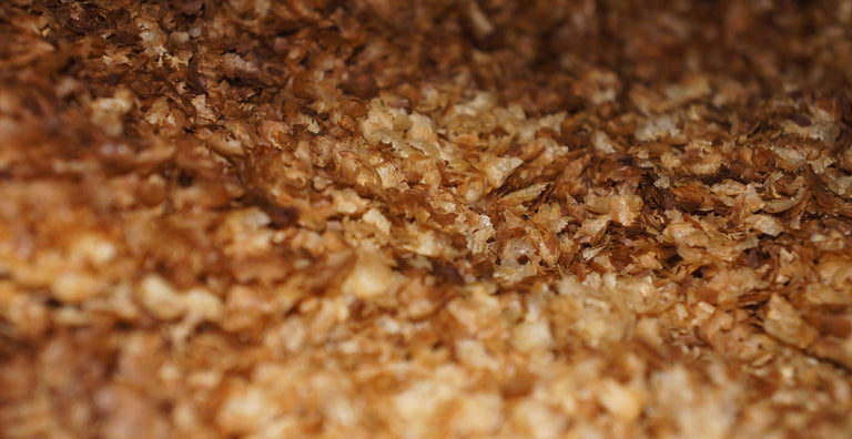 What can you do with coffee chaff