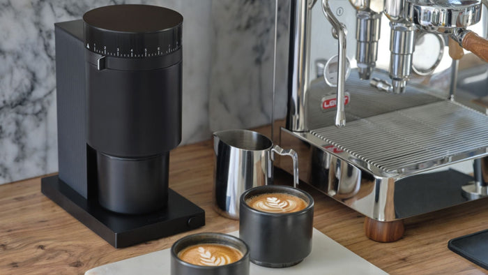 Fellow Opus Coffee Grinder | Grind, Clean, Savour