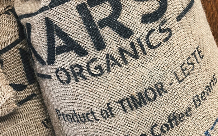 Rotutu Returns | Why Timor-Leste's Speciality Coffee is on the Rise