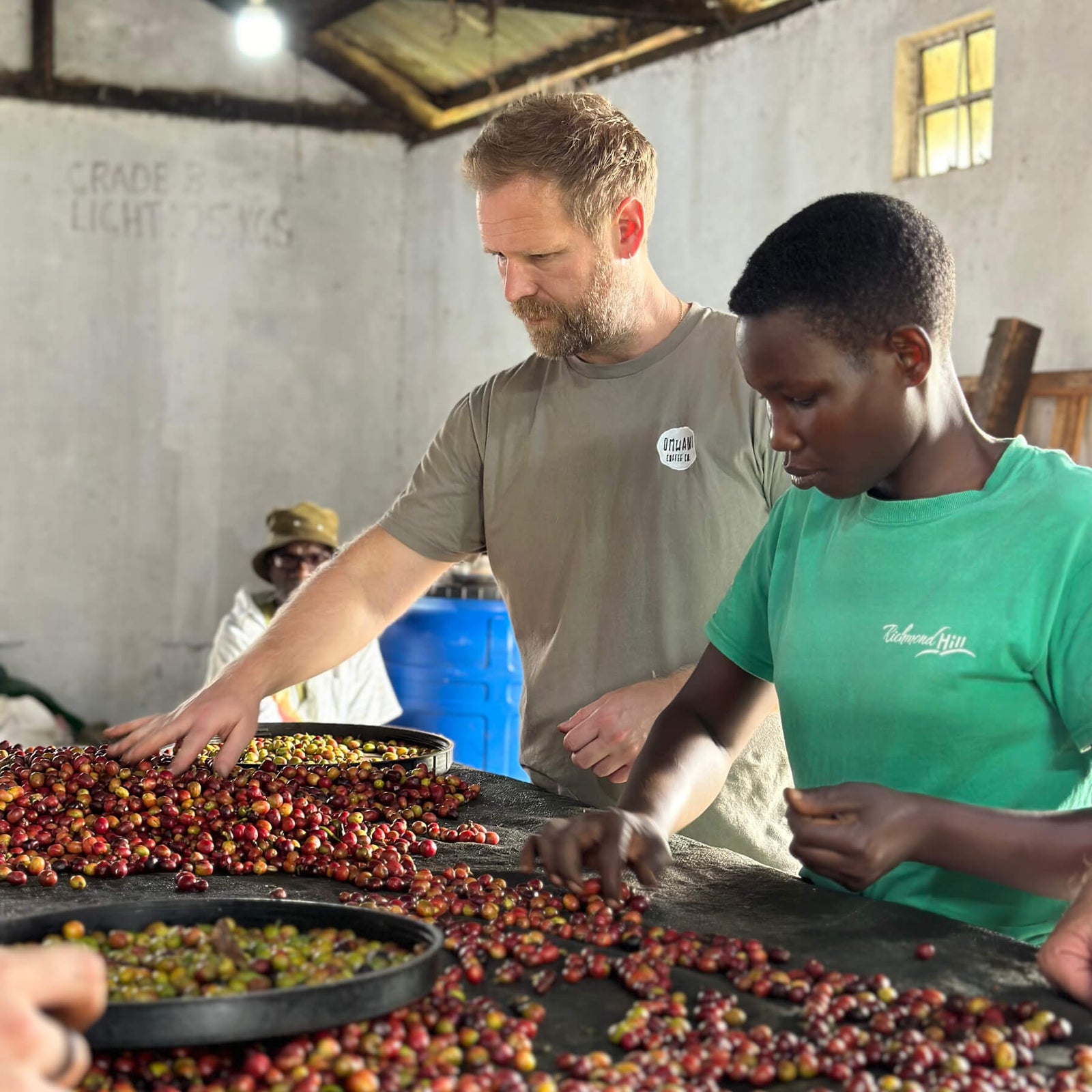 Kenyan Coffee Duo