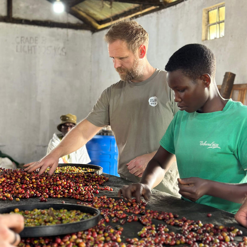 Kenyan Coffee Duo