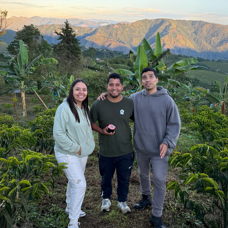 Strawberry Co-Ferment