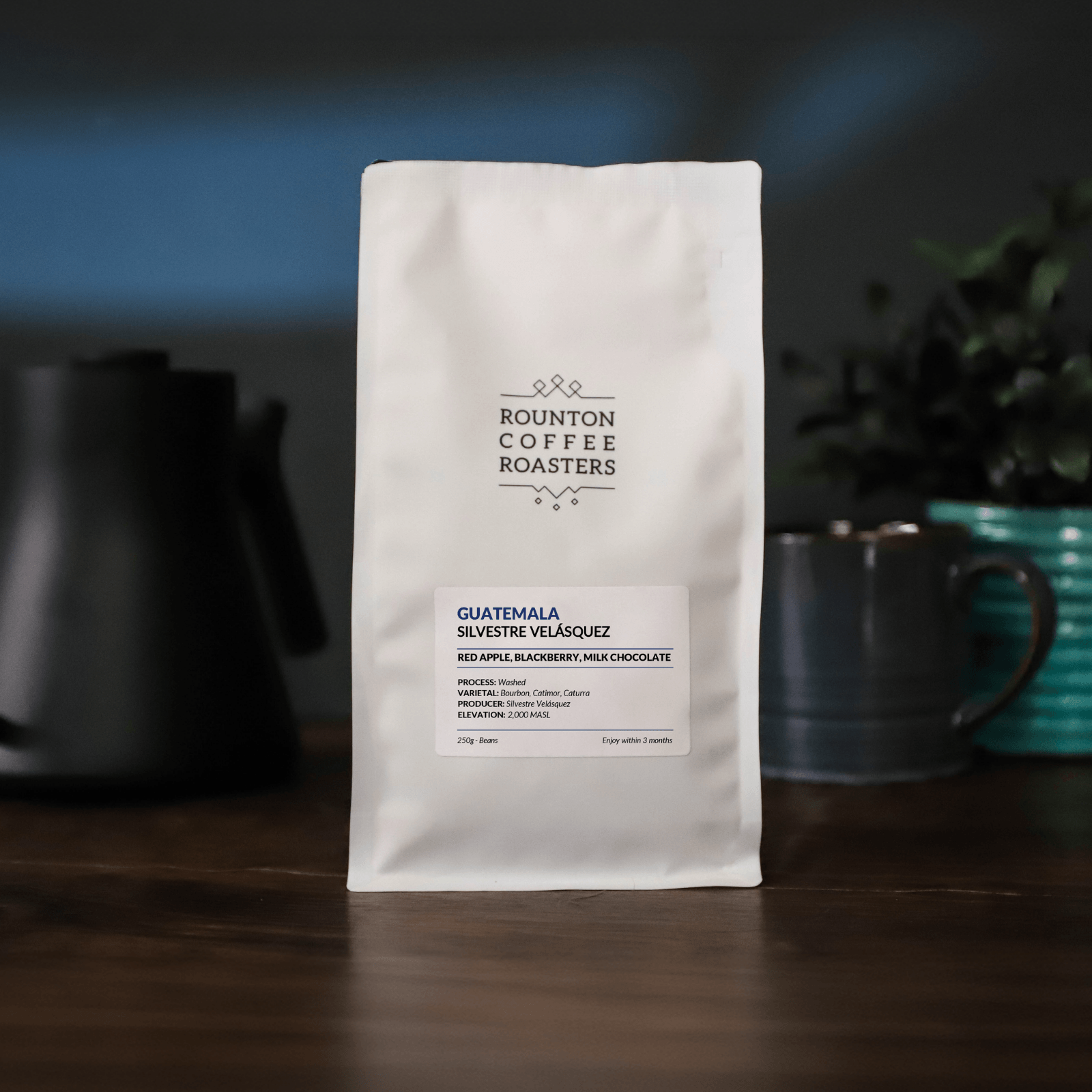 Silvestre Velásquez speciality coffee beans
