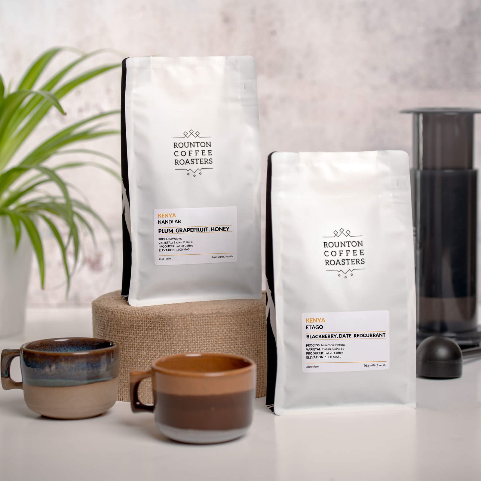 Kenyan Coffee Duo