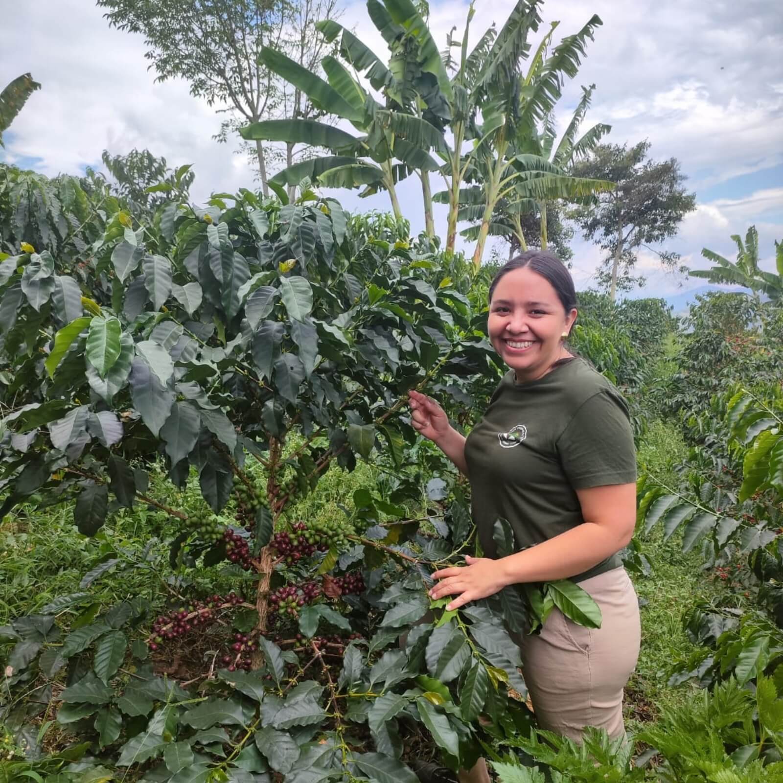 Colombian coffee farmer standing among coffee plants