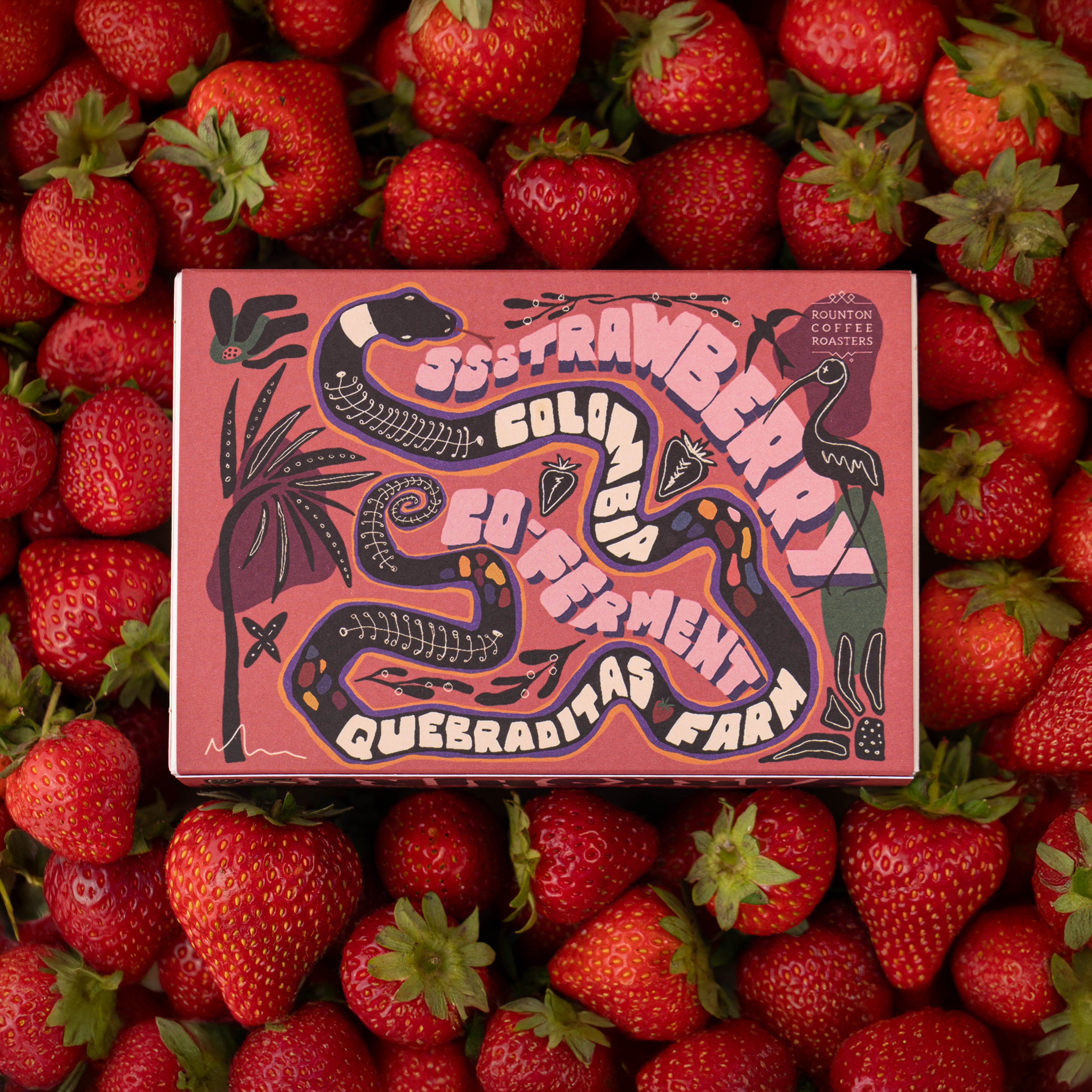Photo of Strawberry Special Release