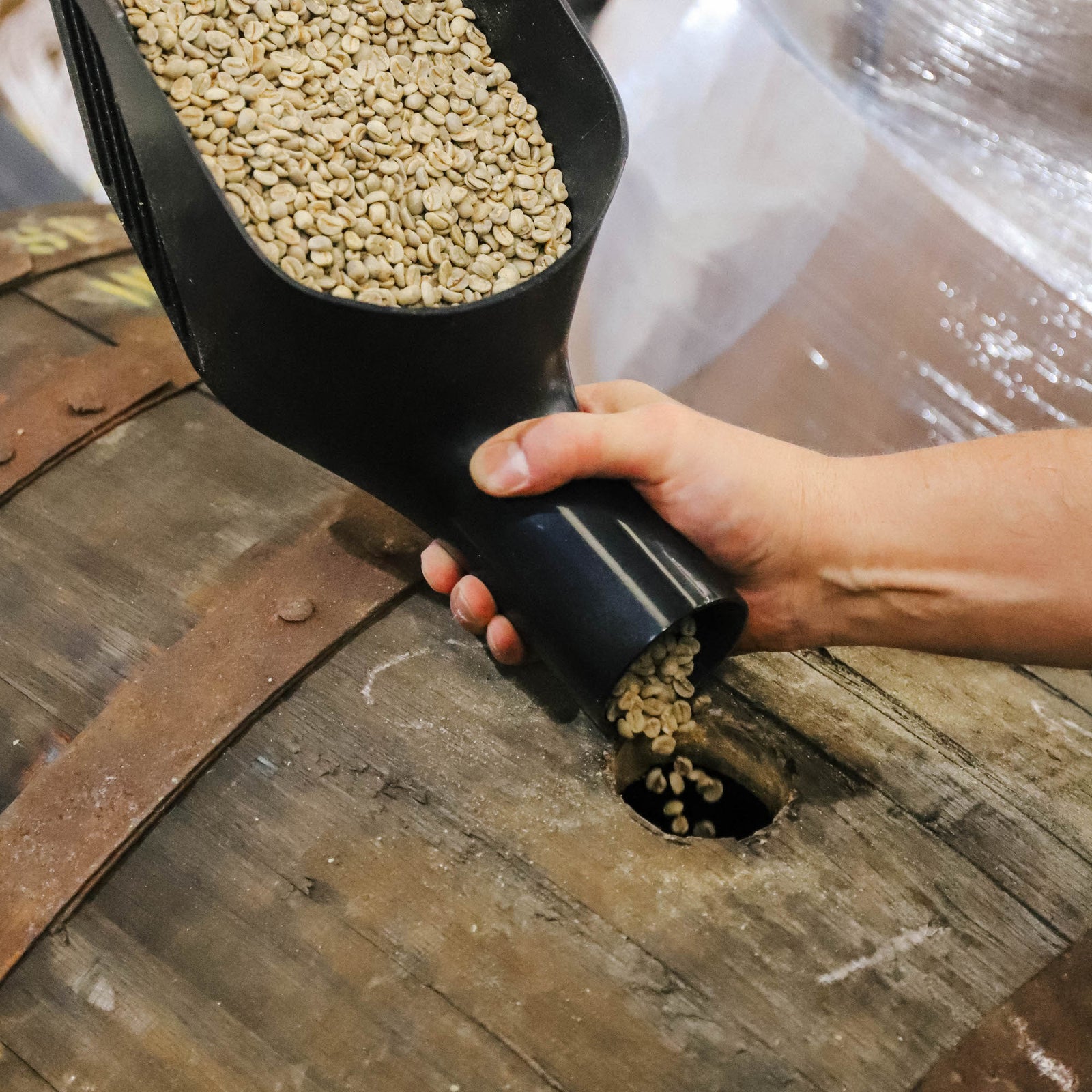 Midnight Harvest green coffee beans being poured into a coffee roaster