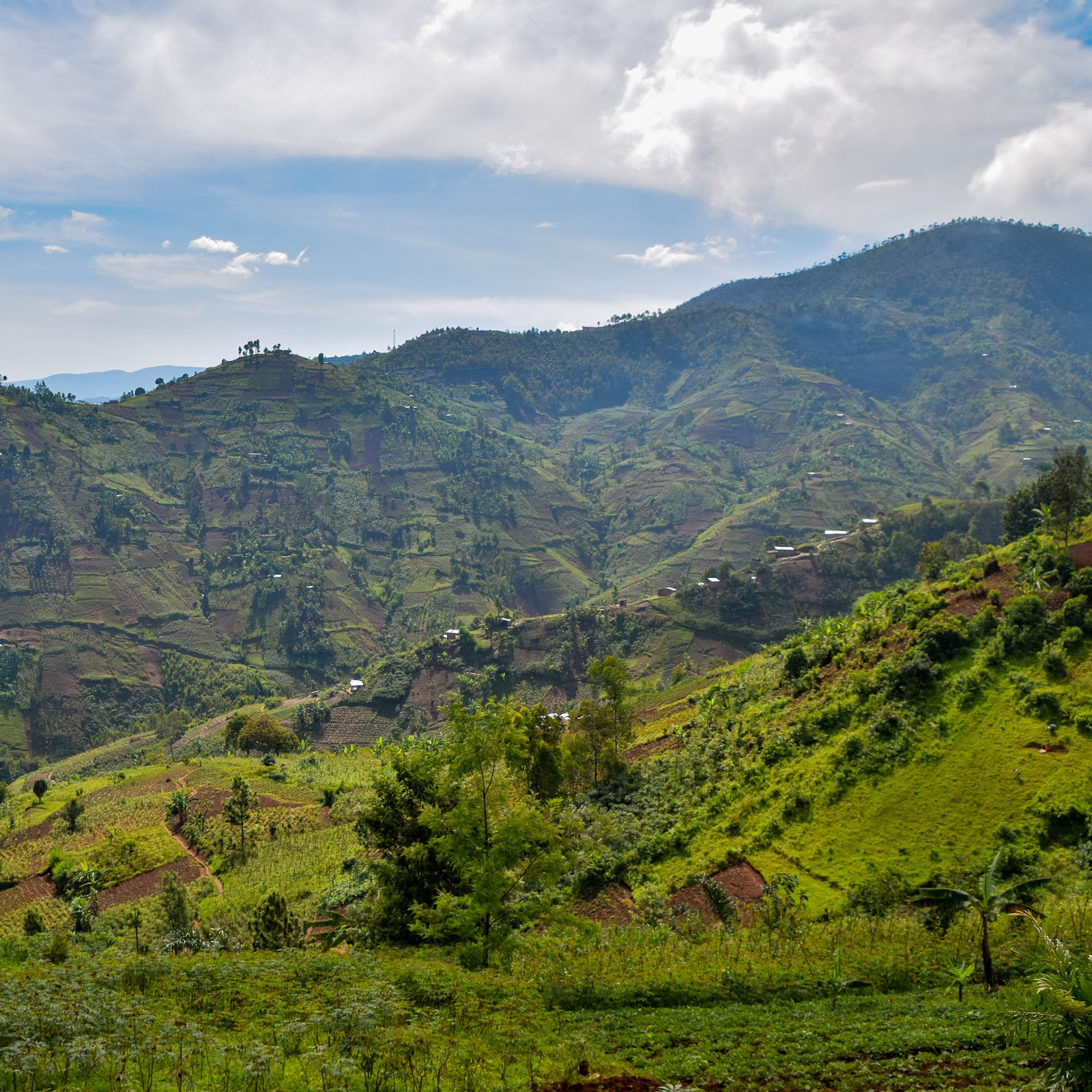 Mutambu Hill