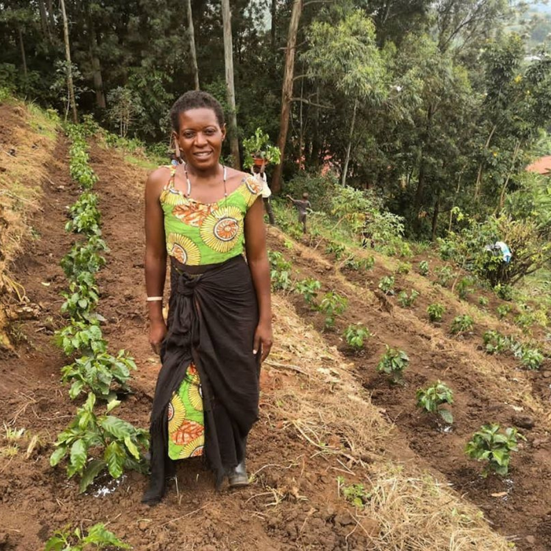 Our wonderful farmers and the young trees 