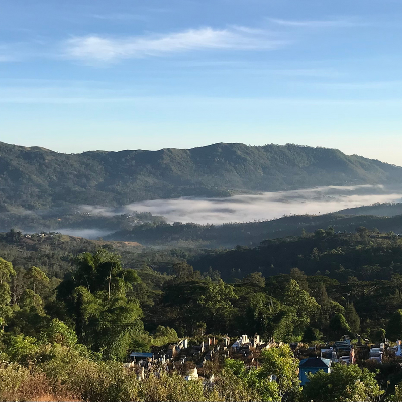 Timor-Leste - Rotutu