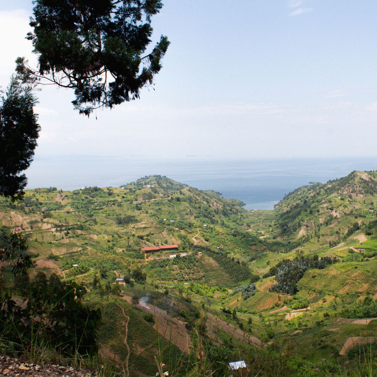 Rwandan Landscape